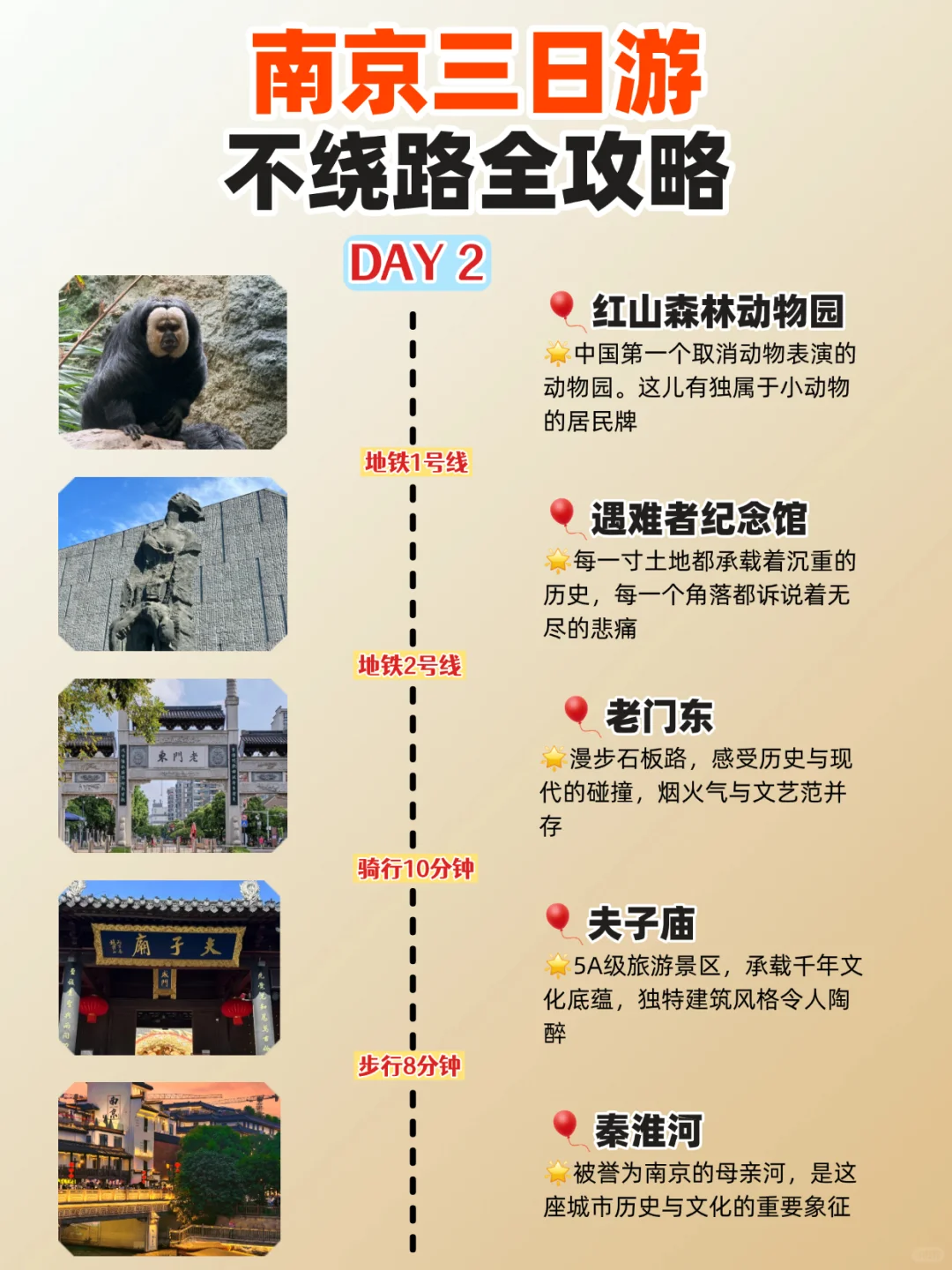南京旅游攻略🧠直接next level了
