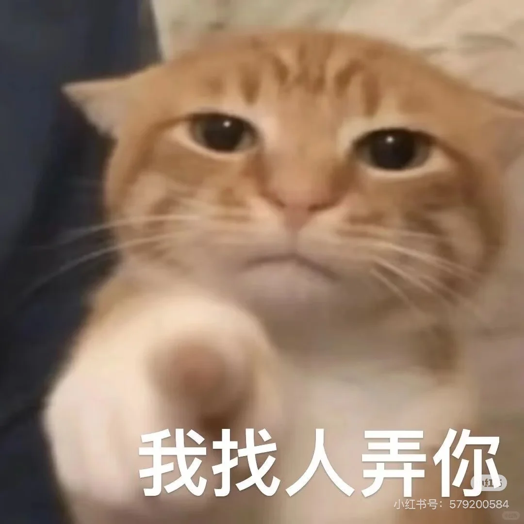明天中午落地徐州