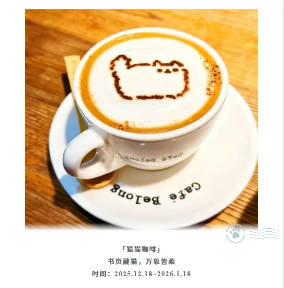 在南京大学的猫书展！书页藏猫·万象皆柔
