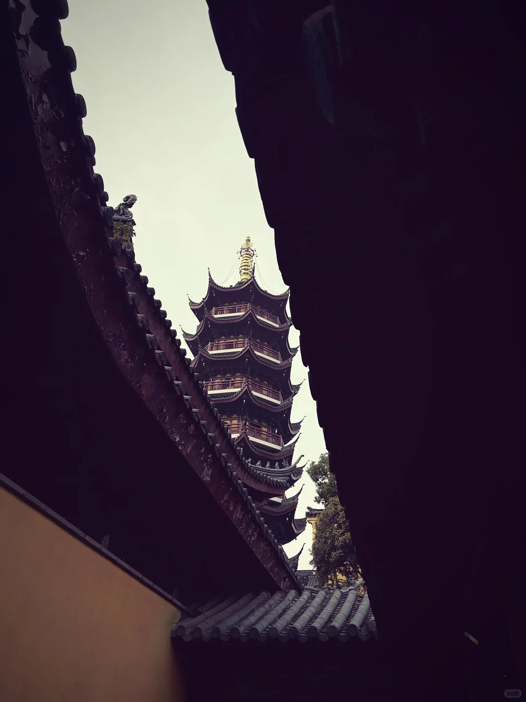 南京NAN