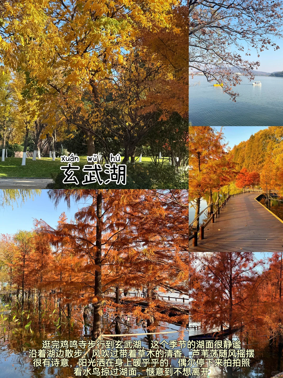 南京📍两日游丨不走回头路保姆级逛吃攻略