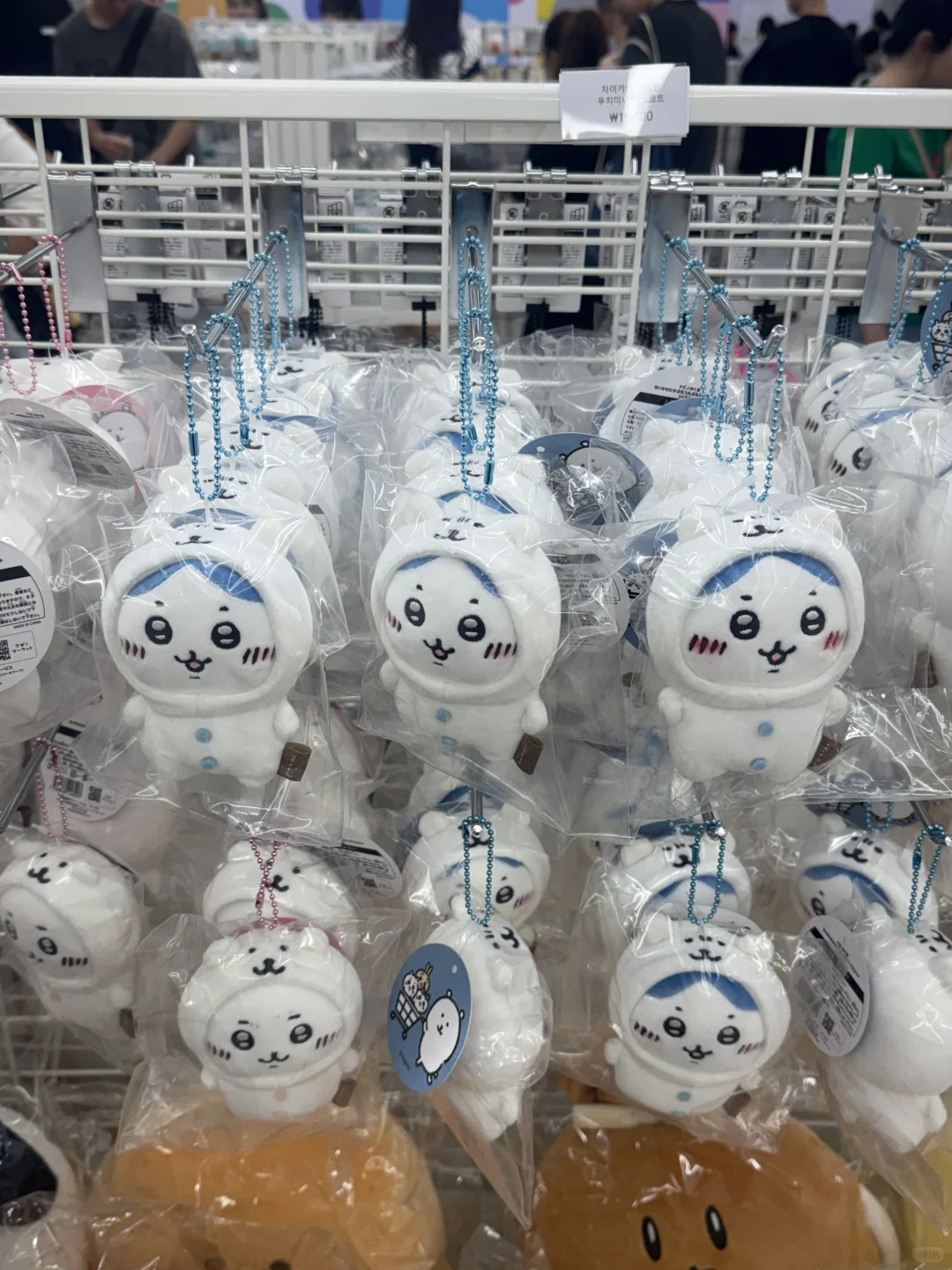 自嘲熊中国首家快闪店！！圣诞🎄正式营业！
