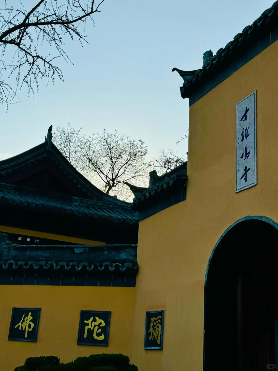 总要来趟南京吧