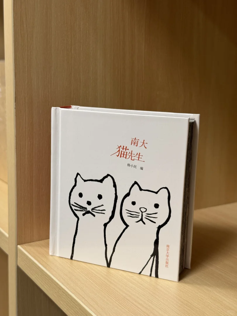 在南京大学的猫书展！书页藏猫·万象皆柔