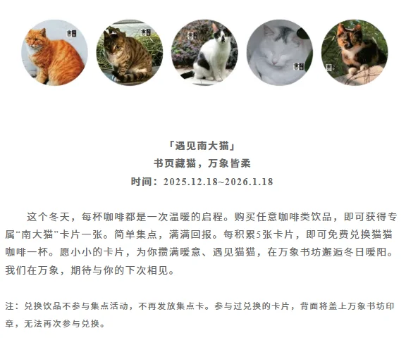 在南京大学的猫书展！书页藏猫·万象皆柔