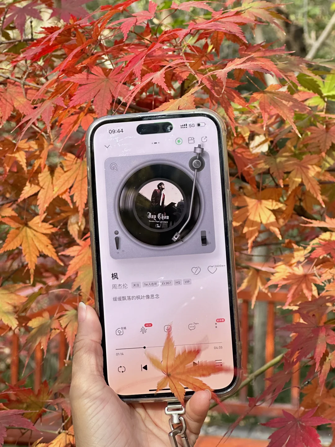 12月实况！南京的深秋真的美疯了！！