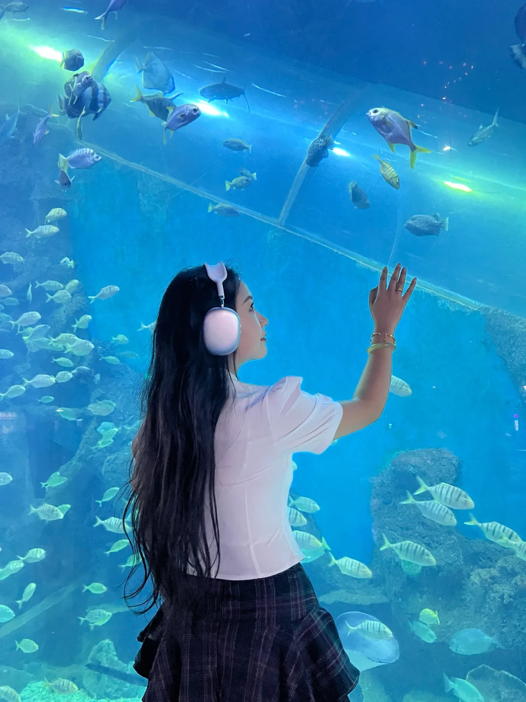 徐州 海洋馆 巨出片