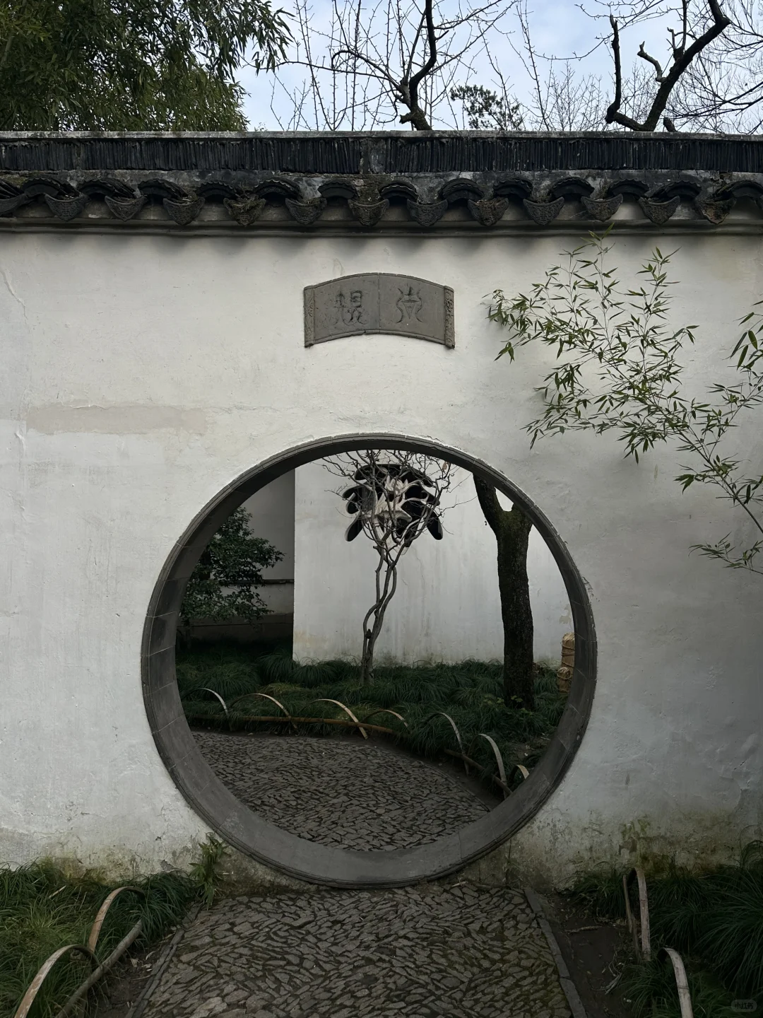 隐于市
