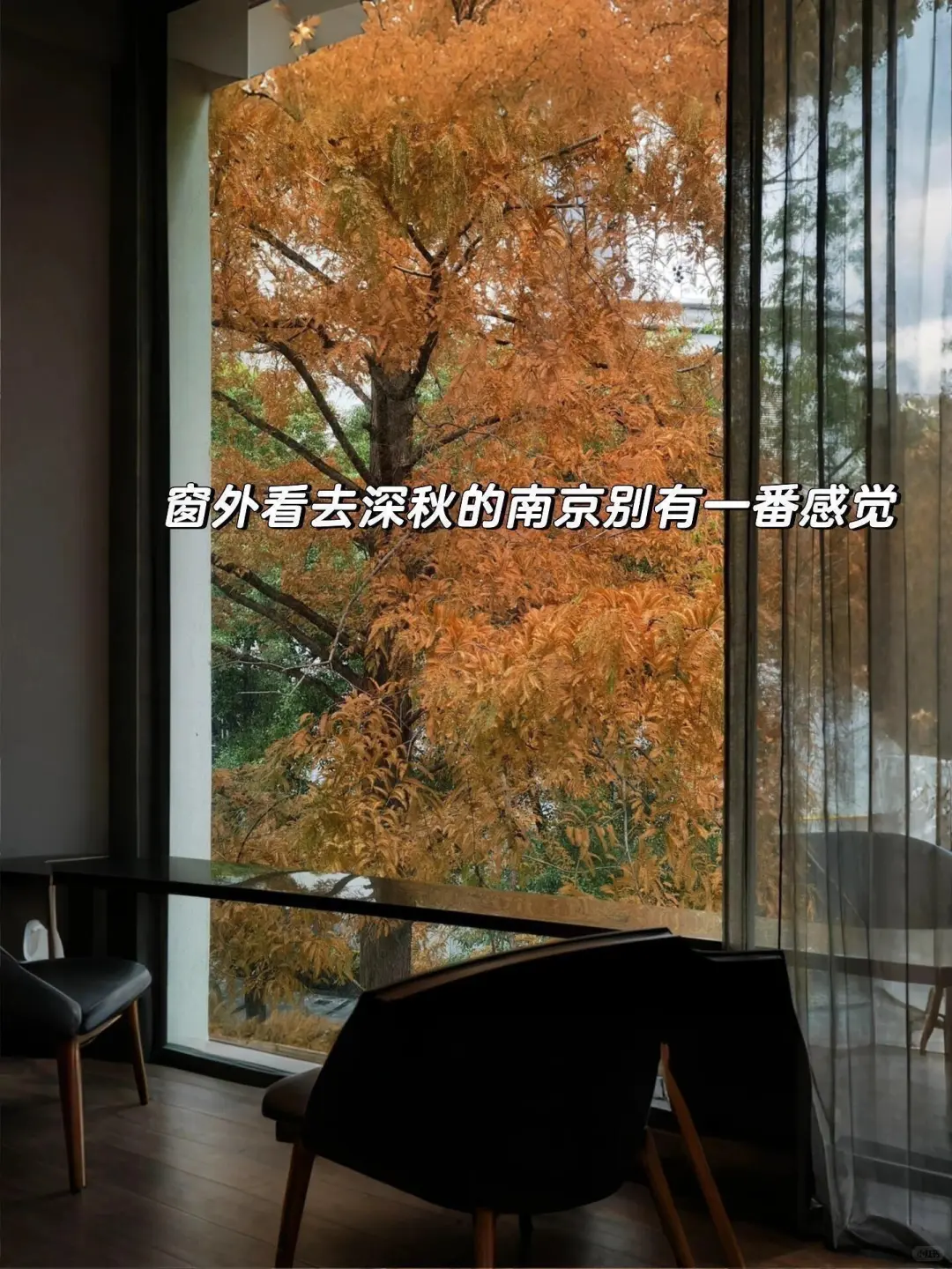 来南京住我家吧！98俩人😭就在夫子庙