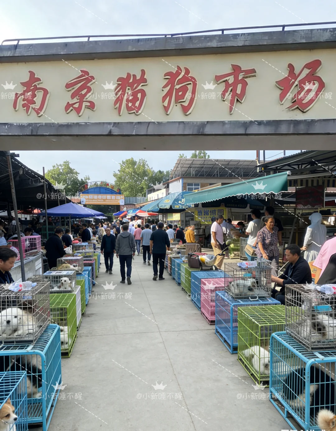 南京这个地方真的太好逛了！