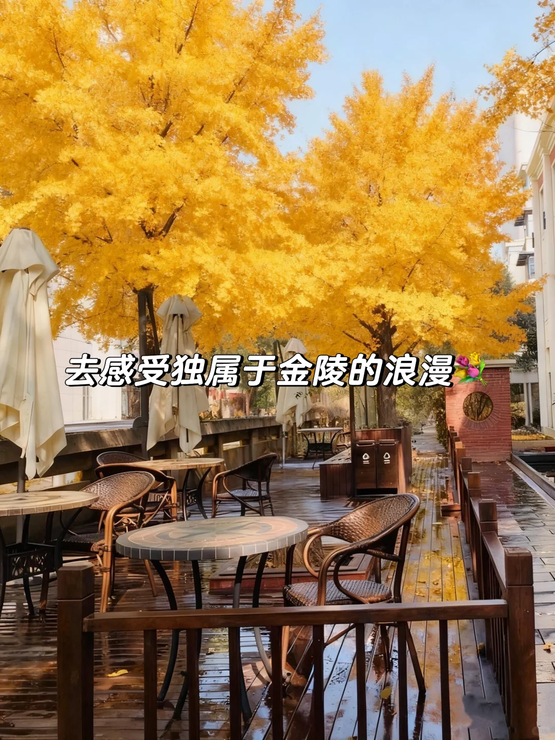 来南京住我家吧！98俩人😭就在夫子庙