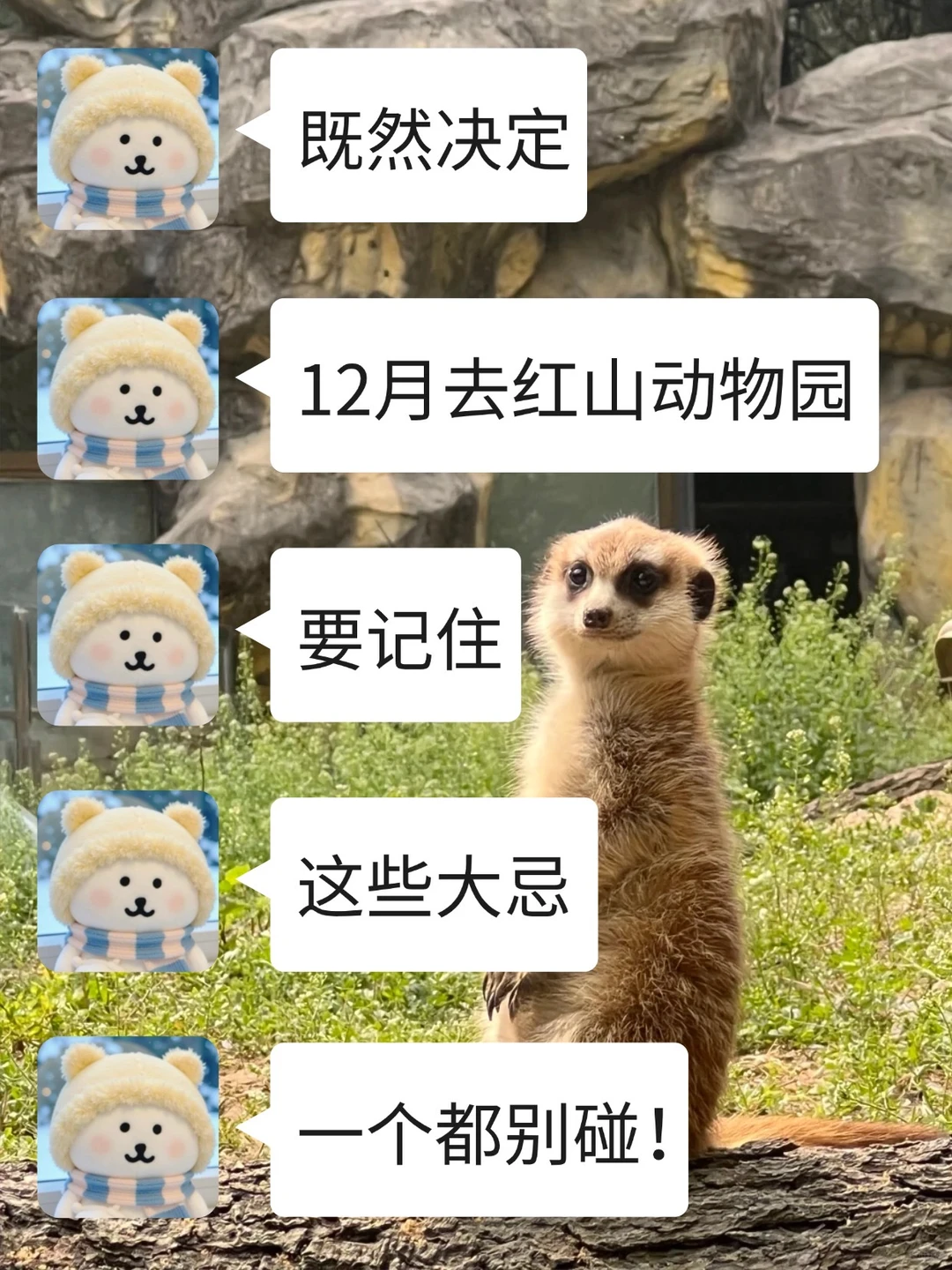 去南京红山动物园前！！听点不一样的大实话