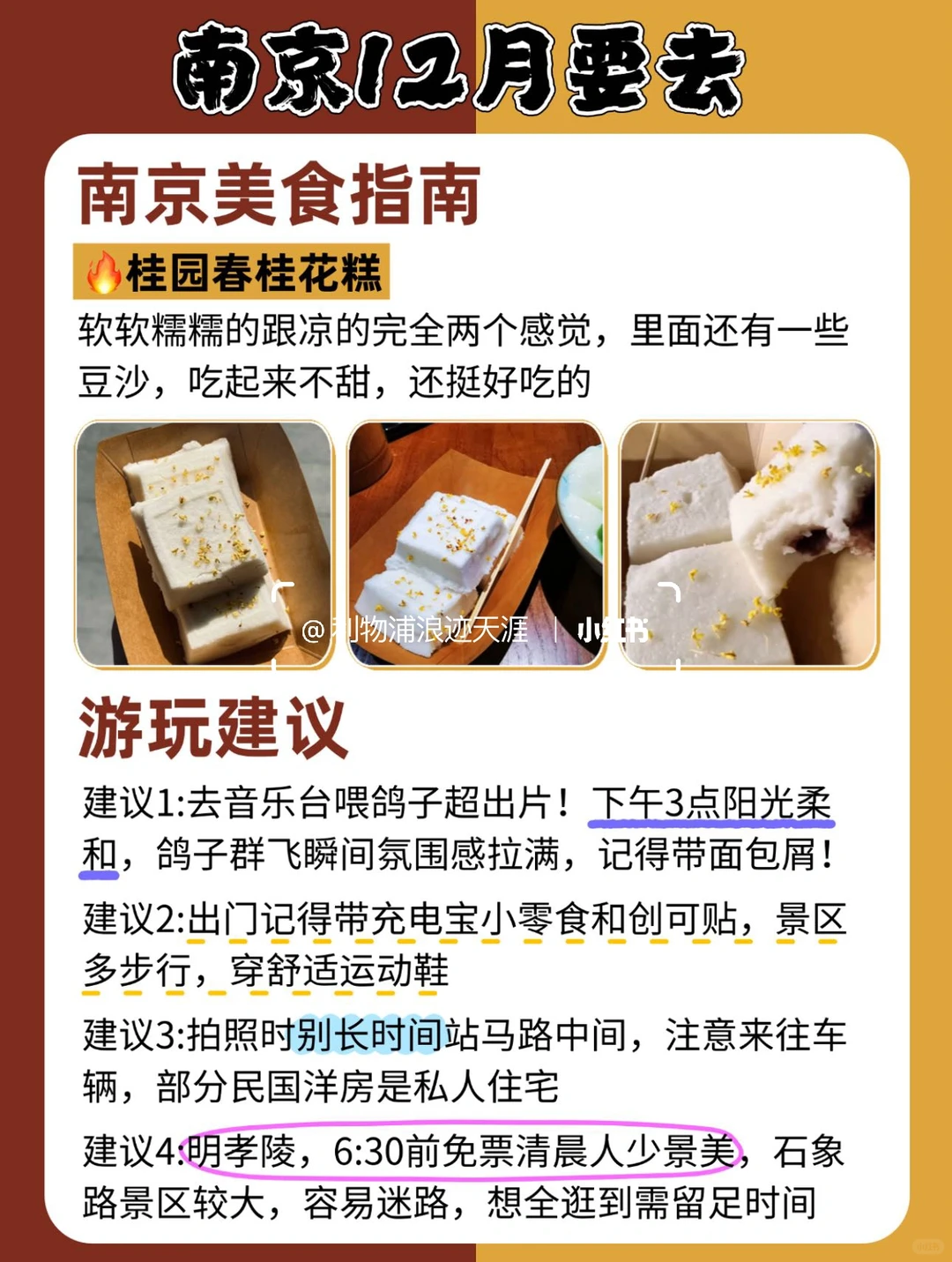 ❄️12月｜建议大家去南京打卡的景点