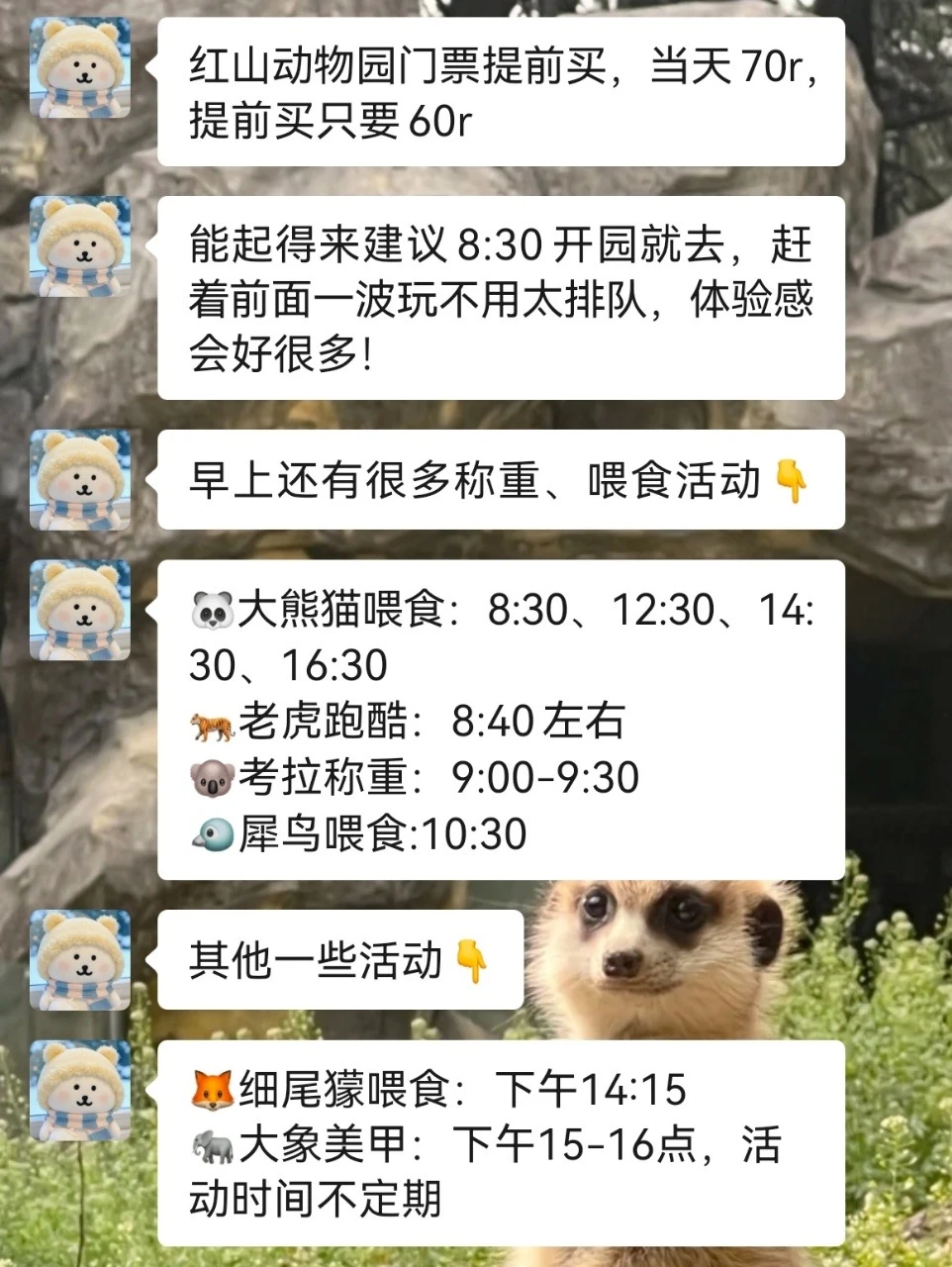 去南京红山动物园前！！听点不一样的大实话