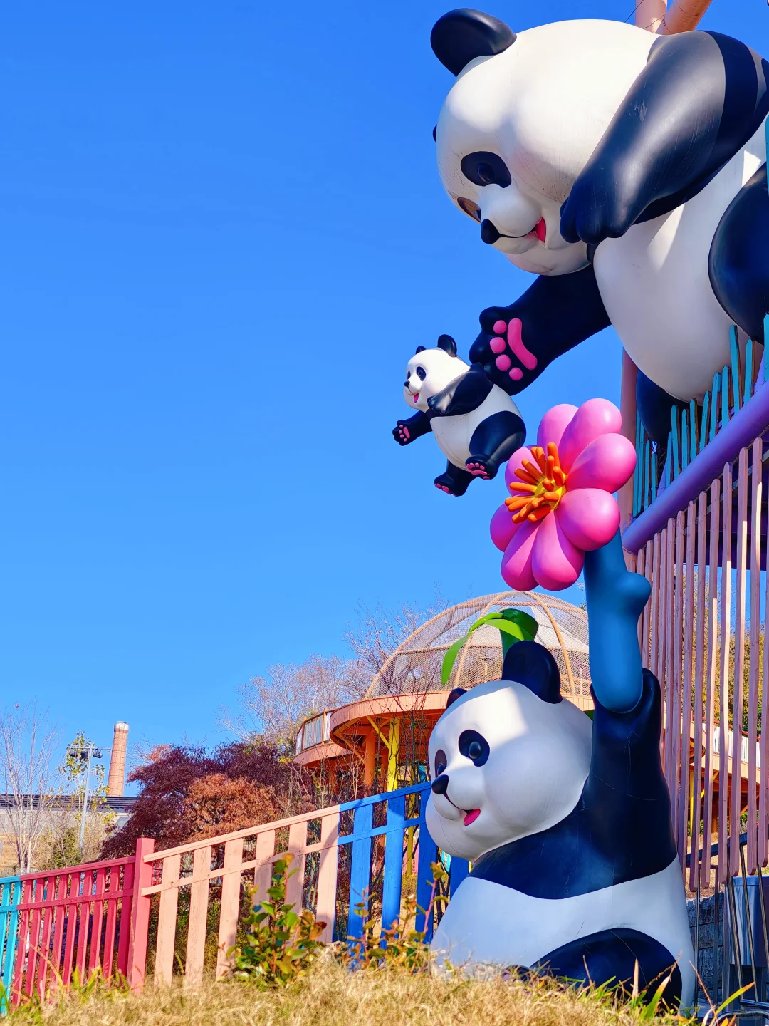 🌿南京遛娃天花板｜抱抱乐园保姆级攻略✨
