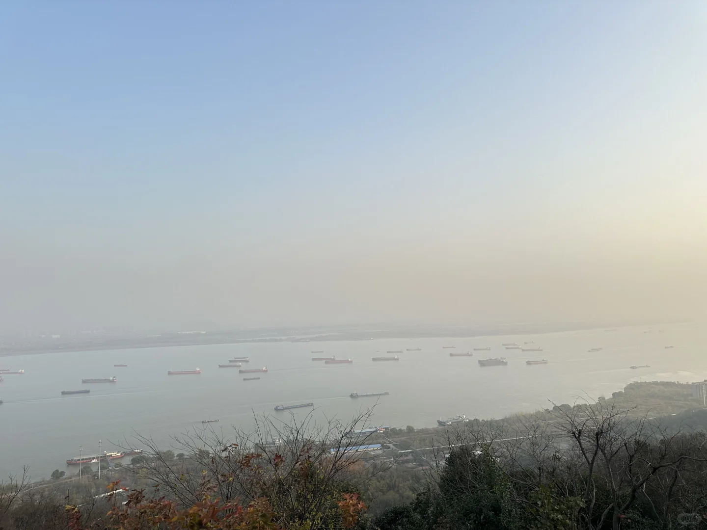 12月实况！南京的深秋真的美疯了！！