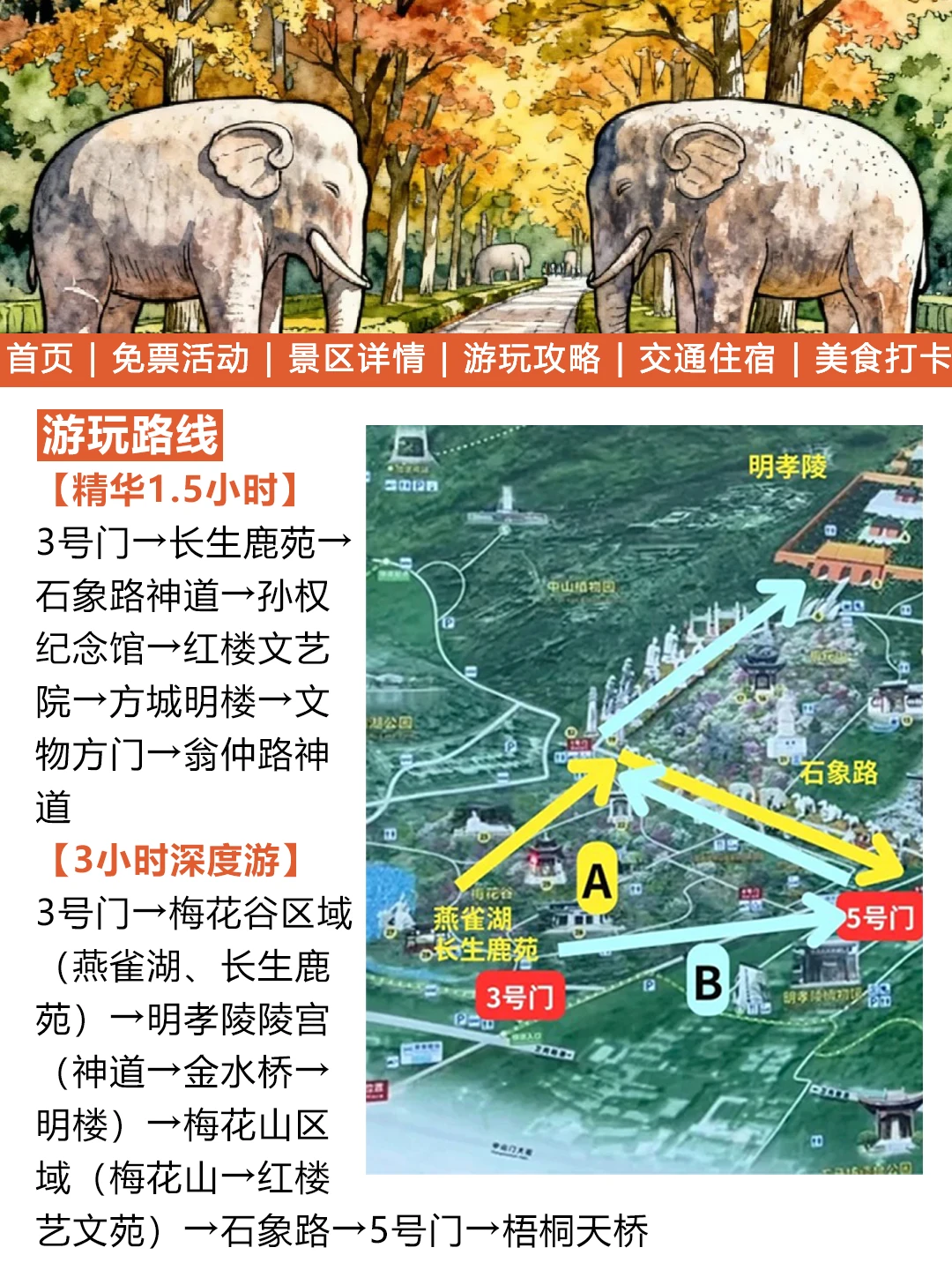 南京明孝陵元旦免票通知来啦！幸好看到了