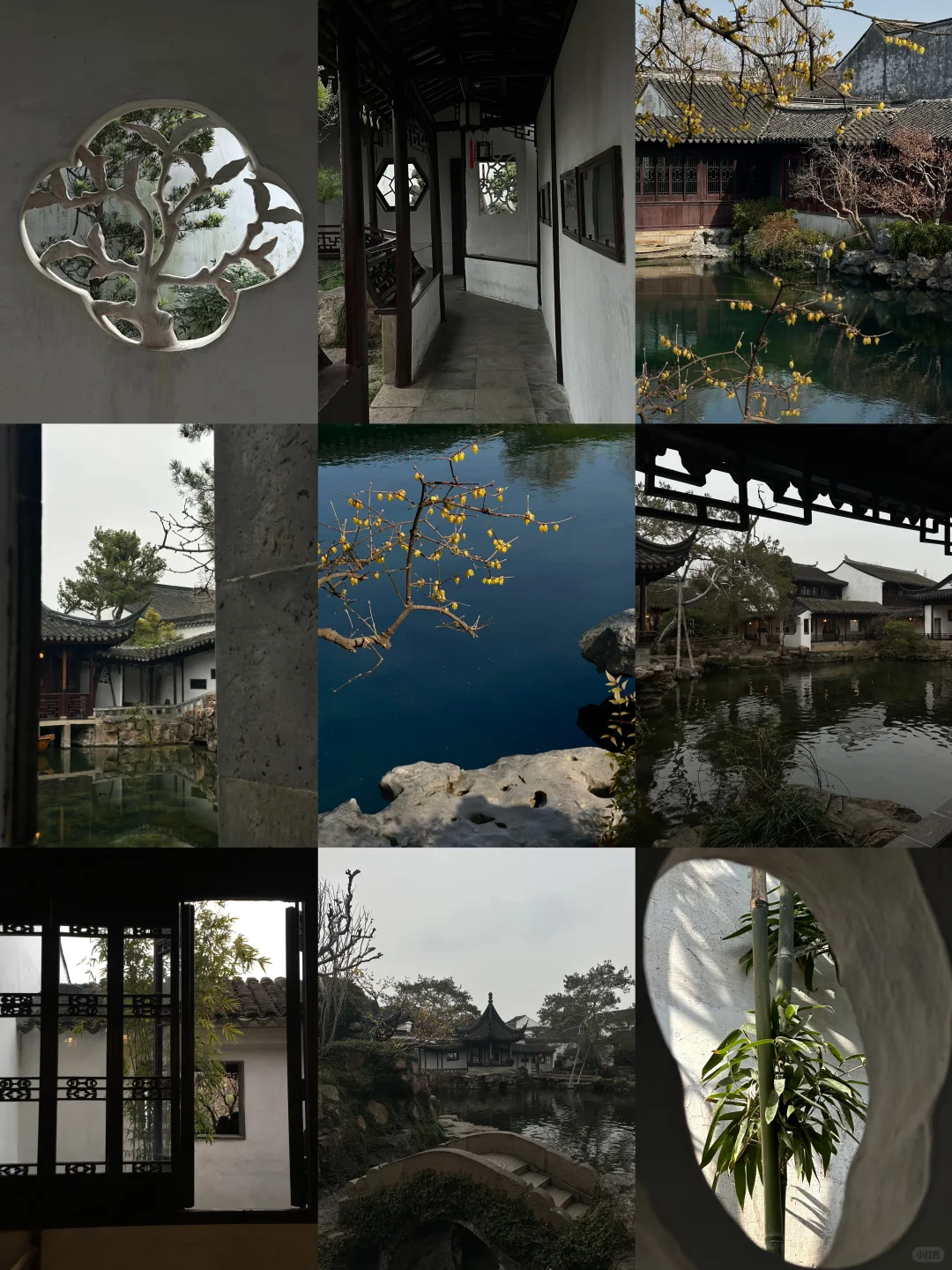 隐于市