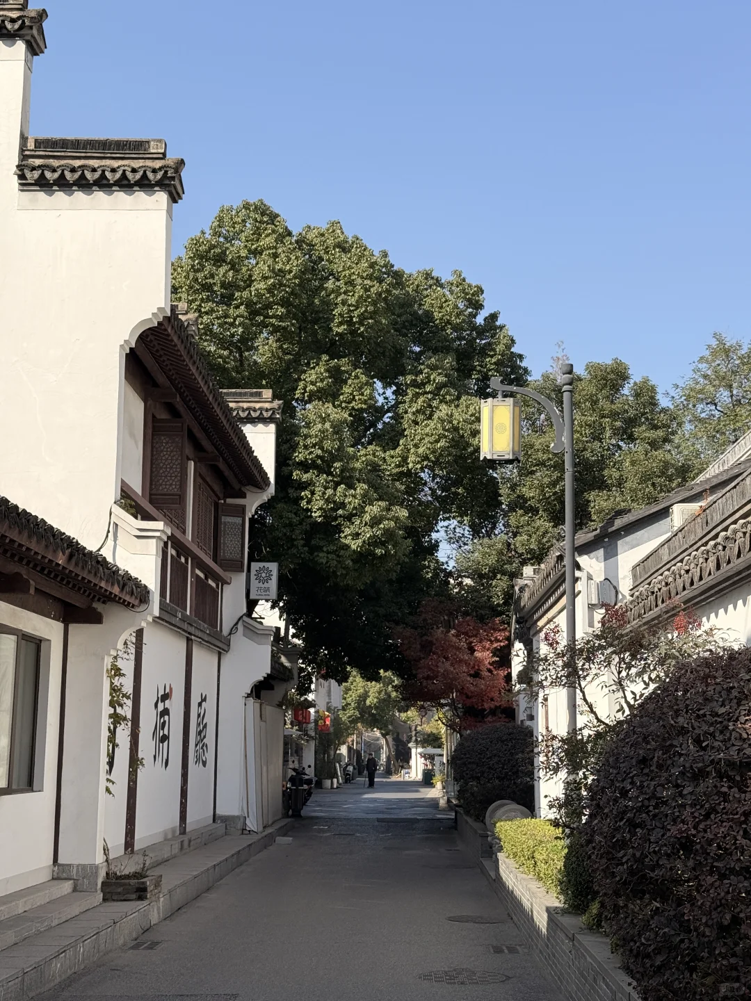 南京citywalk⌛️在大街小巷散步的3h（附路线