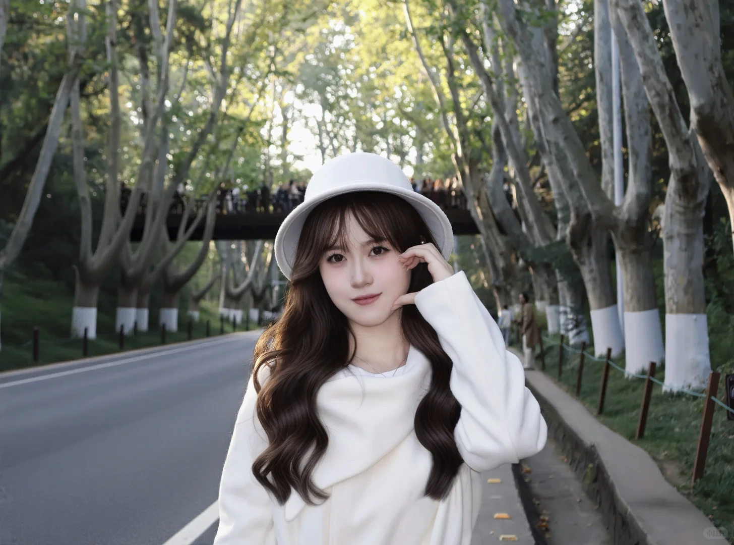 一句梧桐美 种满南京城
