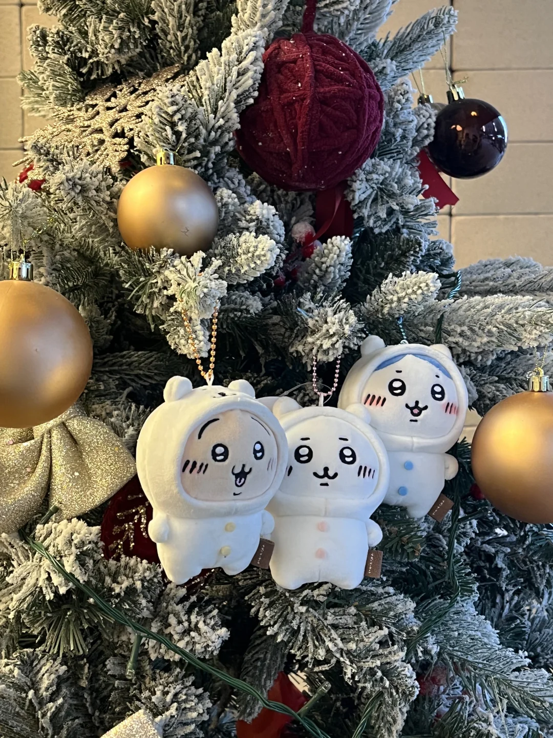 自嘲熊中国首家快闪店！！圣诞🎄正式营业！