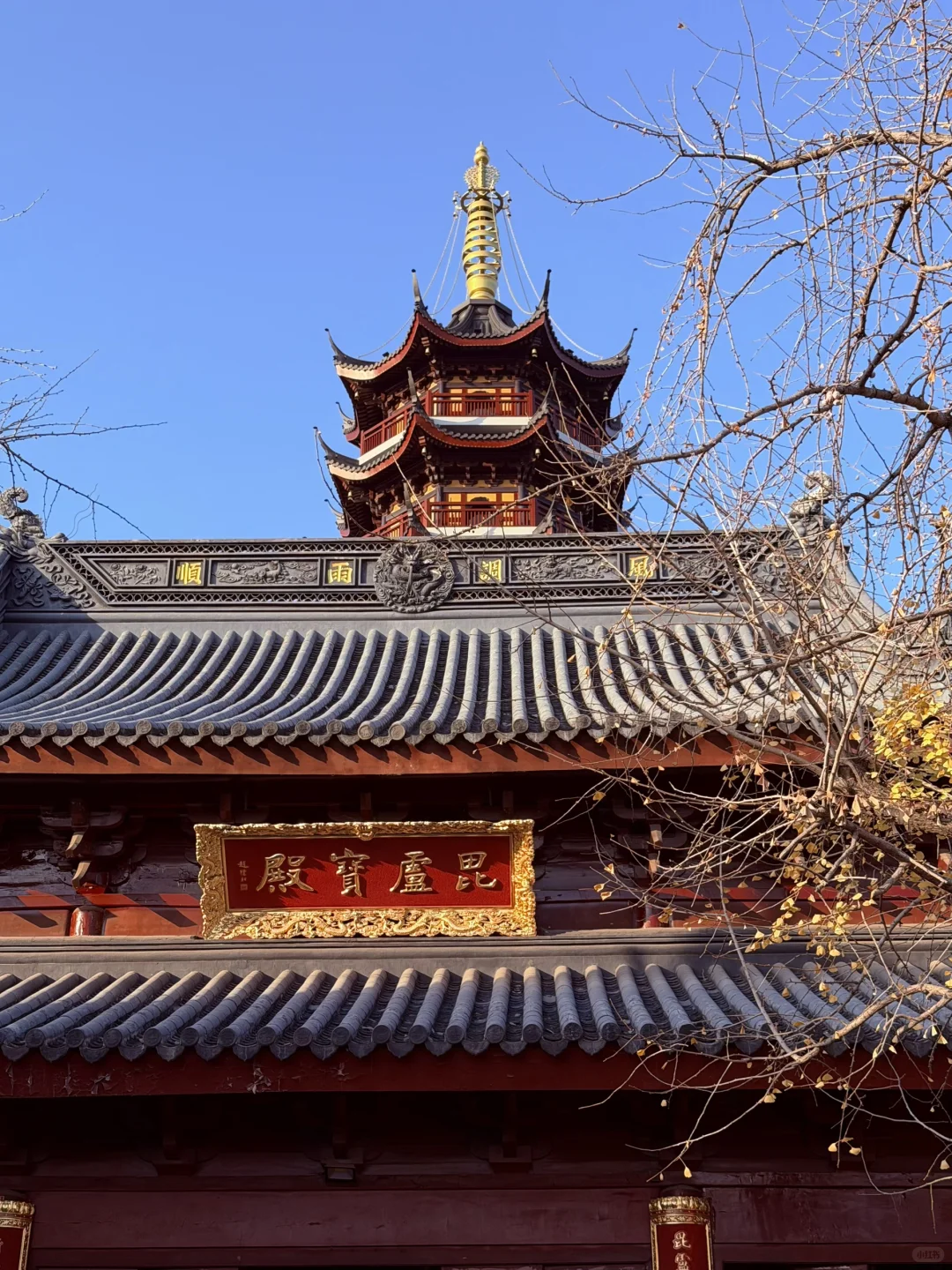 总要来趟南京吧