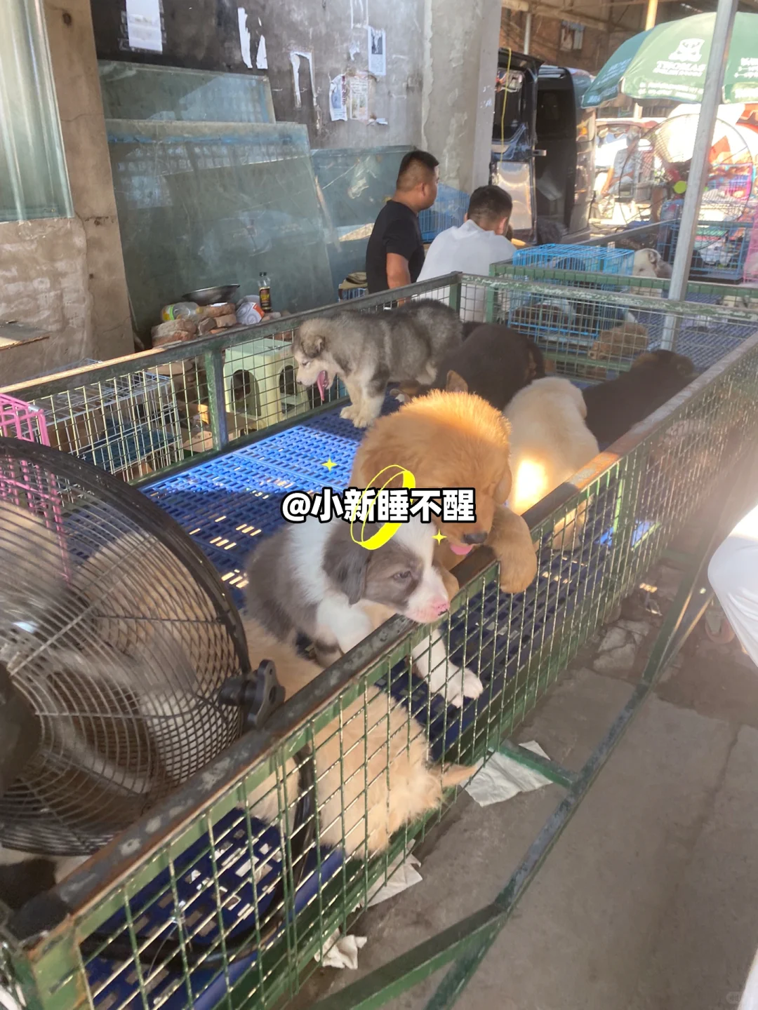 南京这个地方真的太好逛了！