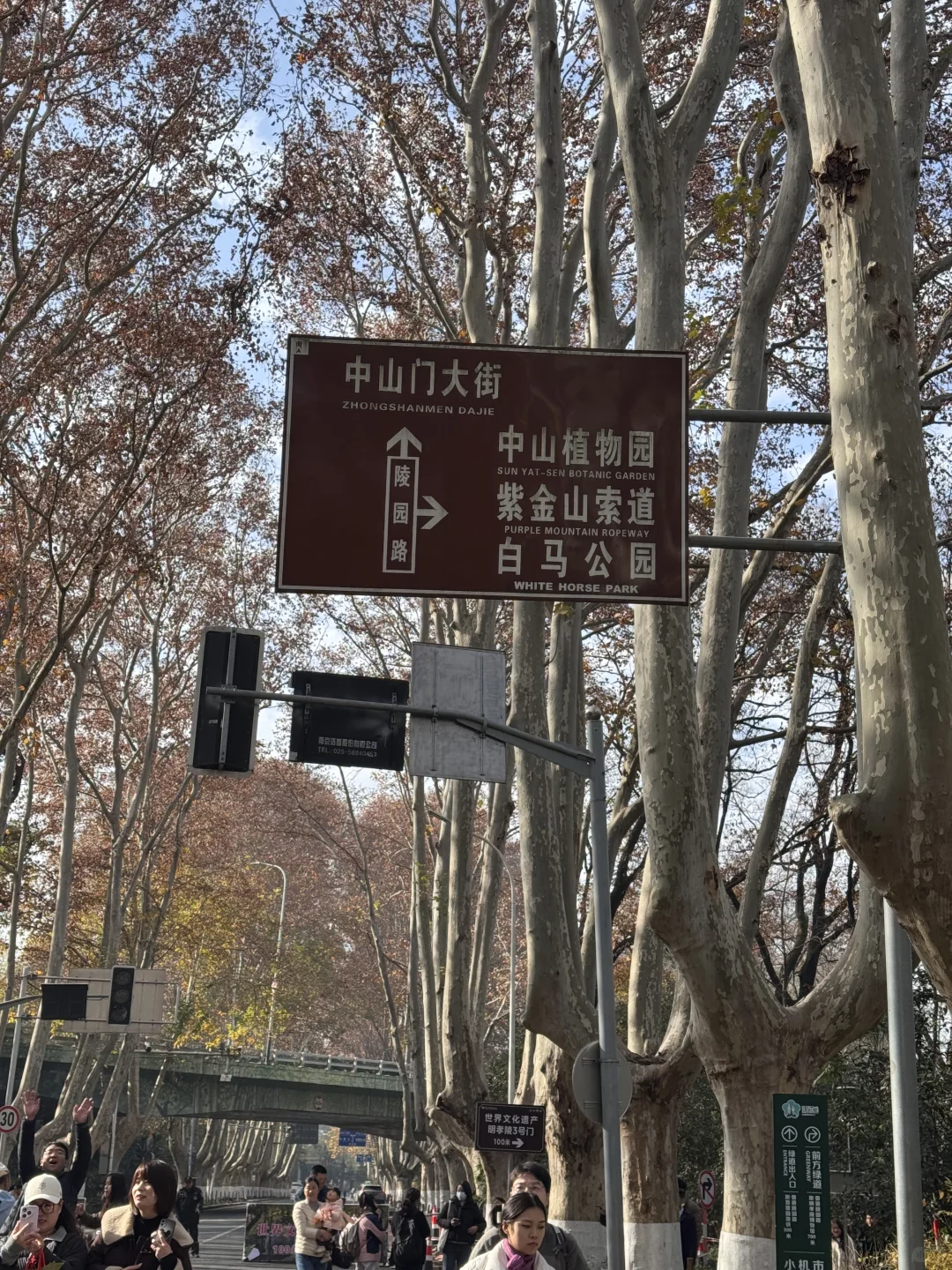 12.16 南京梧桐大道实况