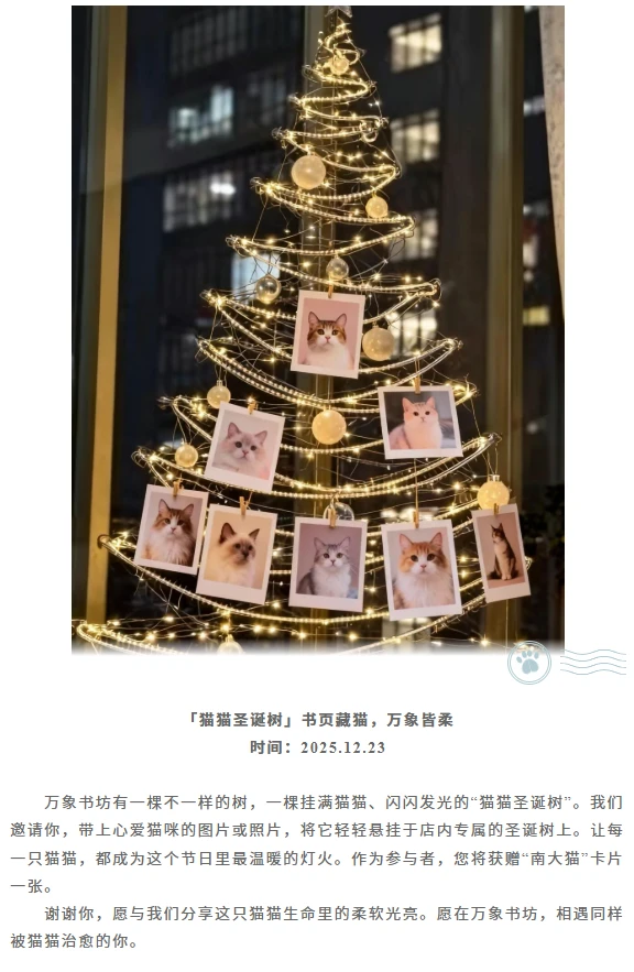 在南京大学的猫书展！书页藏猫·万象皆柔