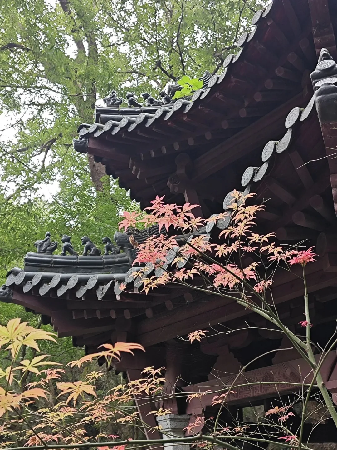 南京！栖霞山下的禅意酒店，488绝了住带票