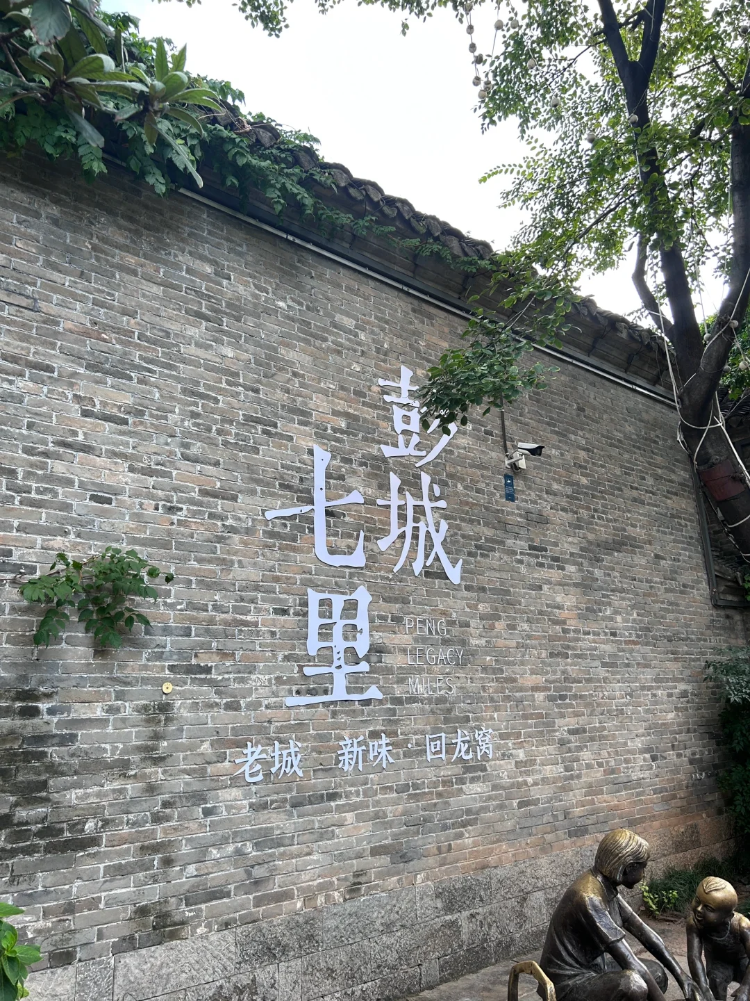 徐州Plog🌳