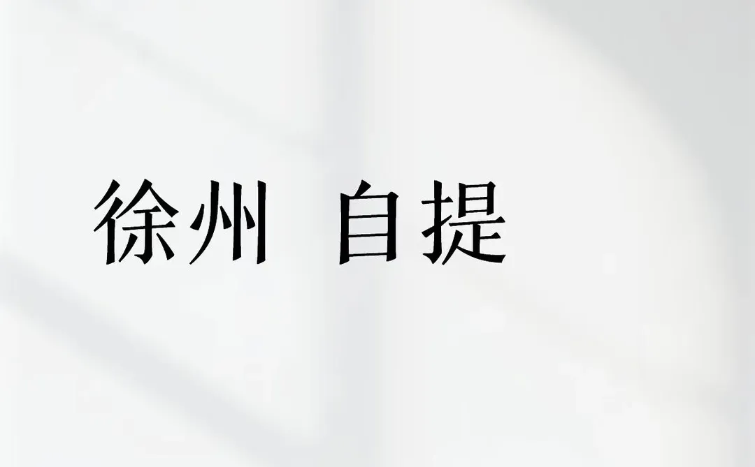 徐州 自提