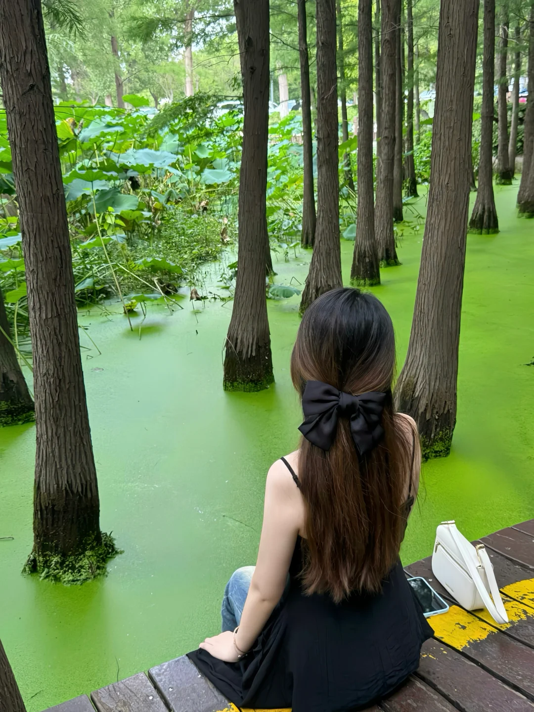徐州Plog🌳