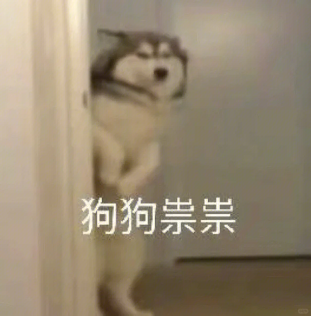 有从沛县去徐州跨年的搭子吗