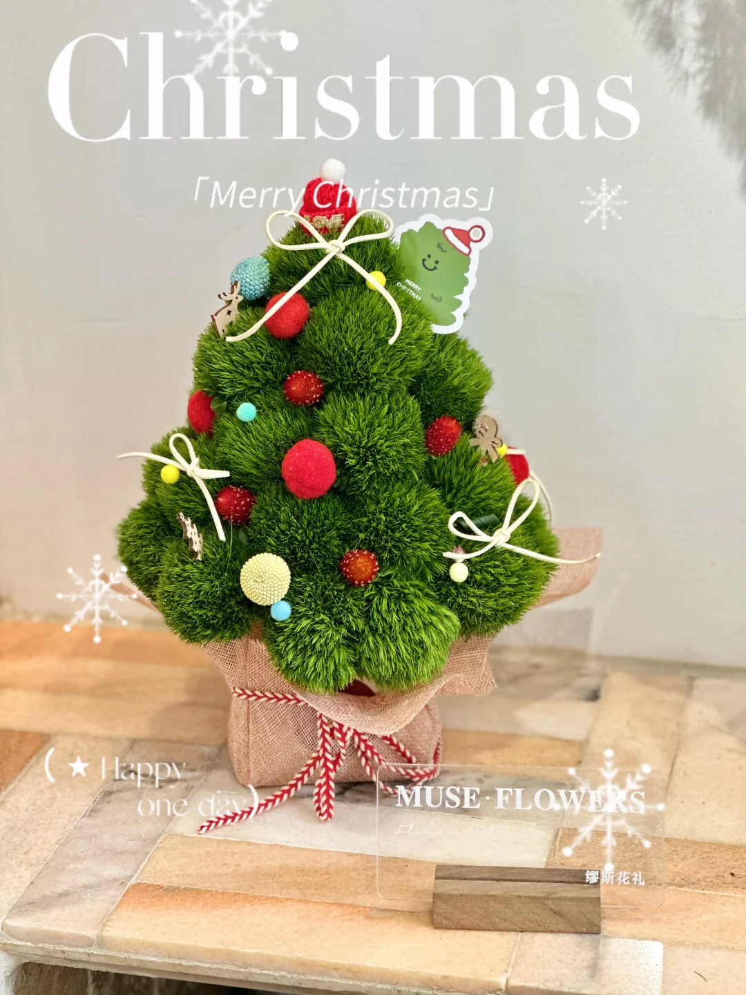 可可爱爱的圣诞树🎄✨｜南京同城配送