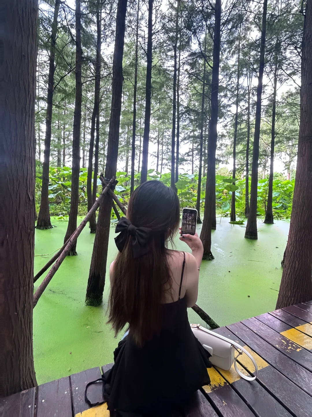 徐州Plog🌳