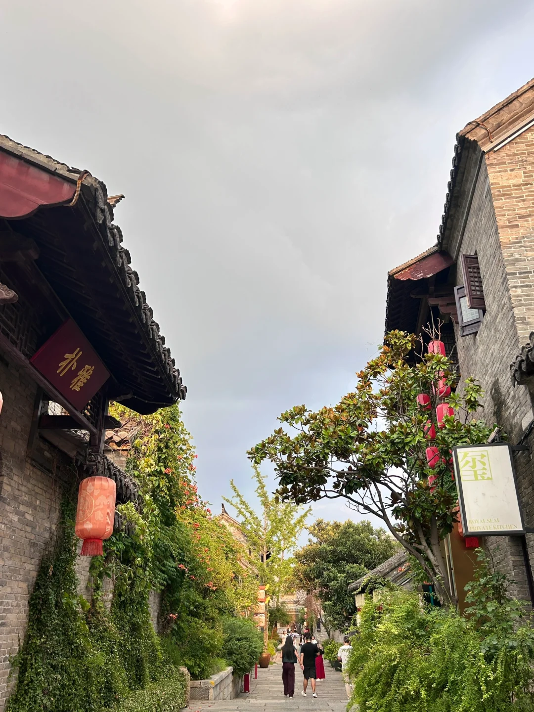 徐州Plog🌳
