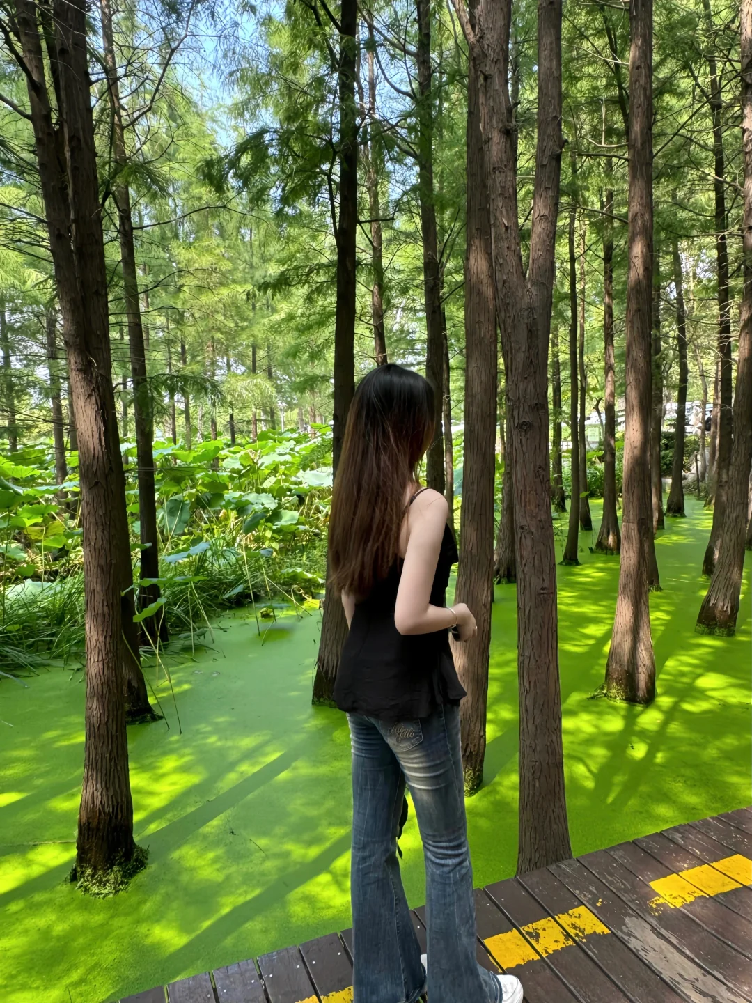 徐州Plog🌳
