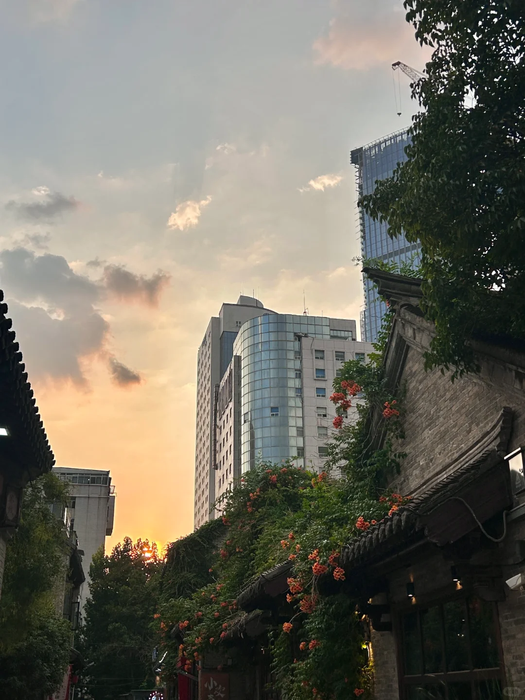 徐州Plog🌳