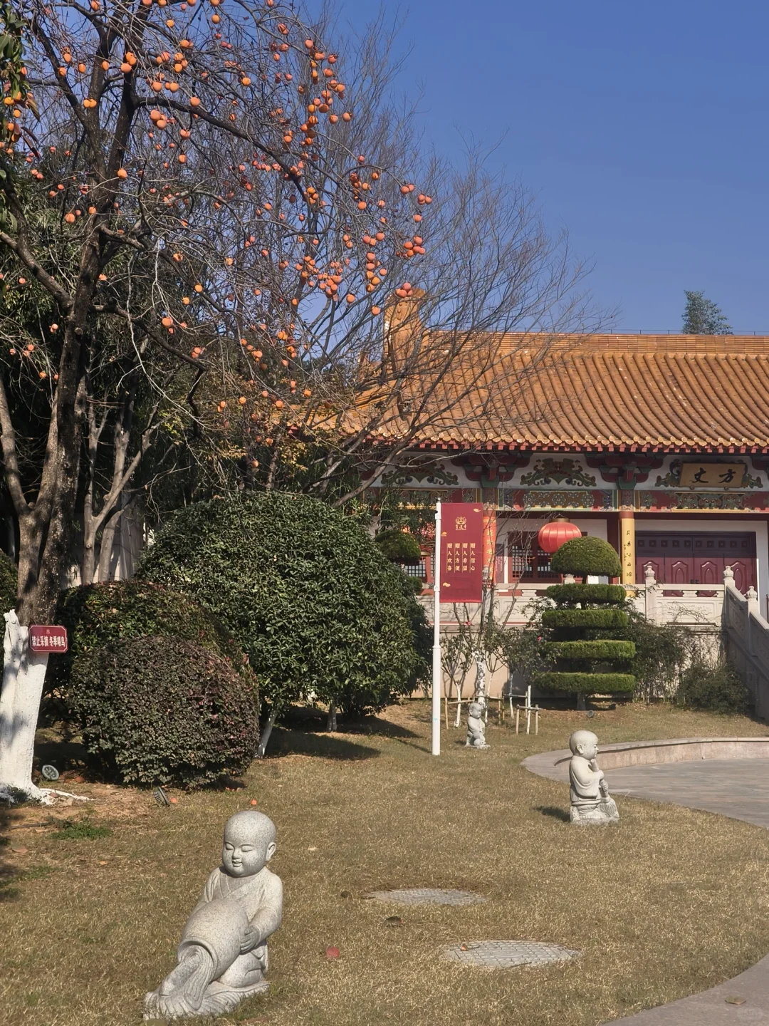 徐州公益｜宝莲寺做义工🏯