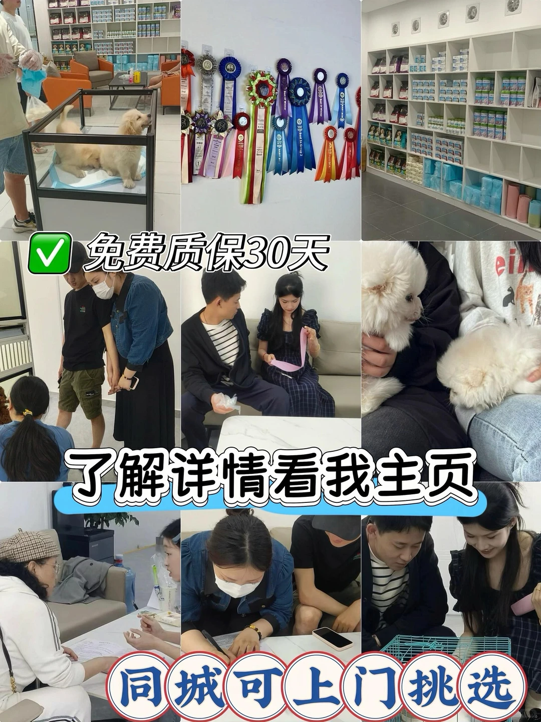 深圳大型宠物基地🔥喜欢猫猫狗狗的看过来🔥