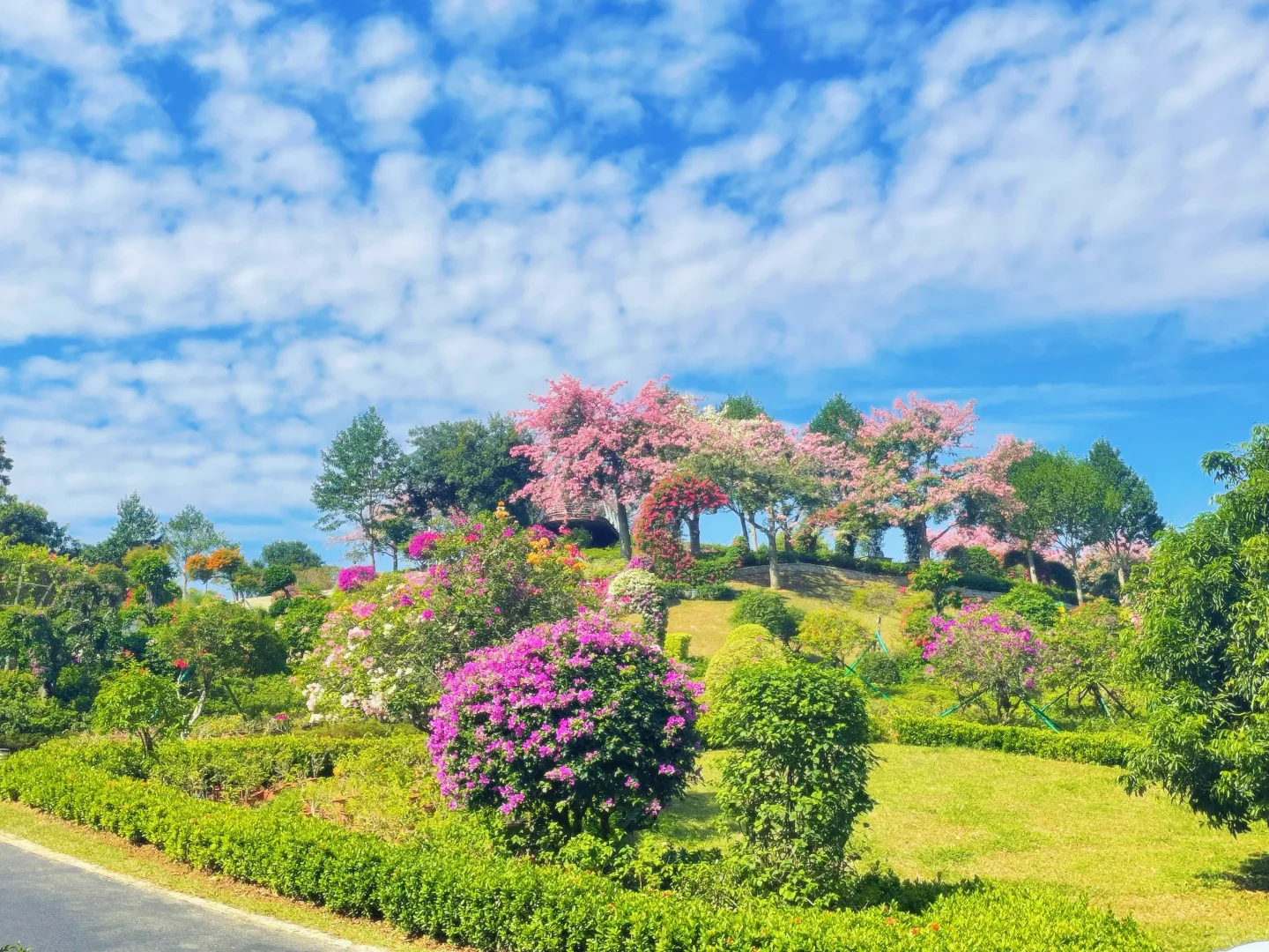 东莞植物园