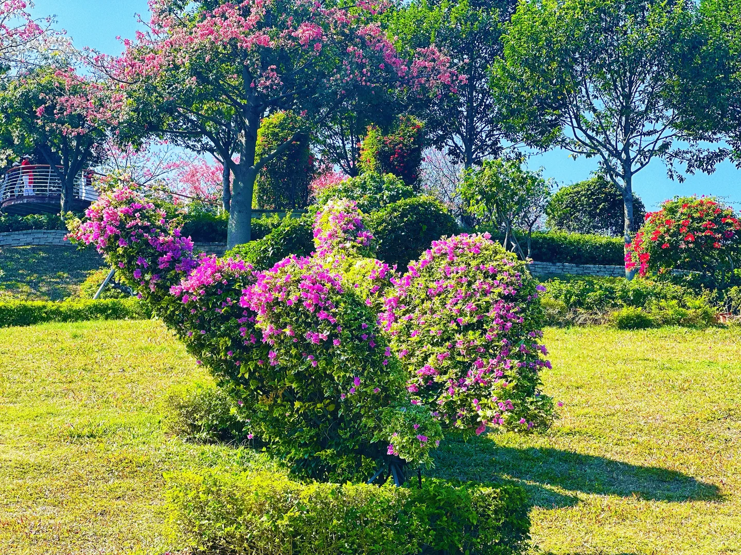 东莞植物园