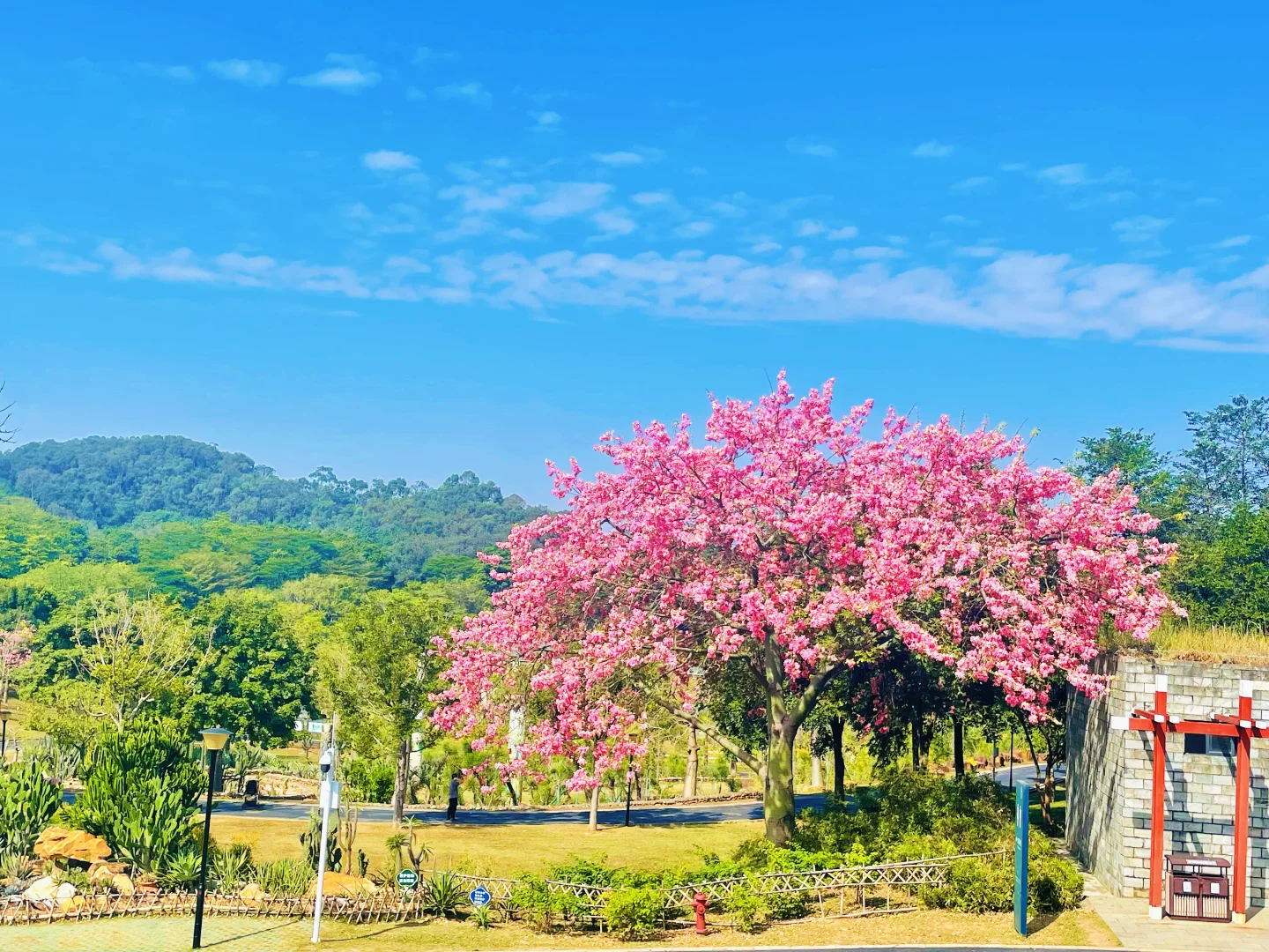东莞植物园