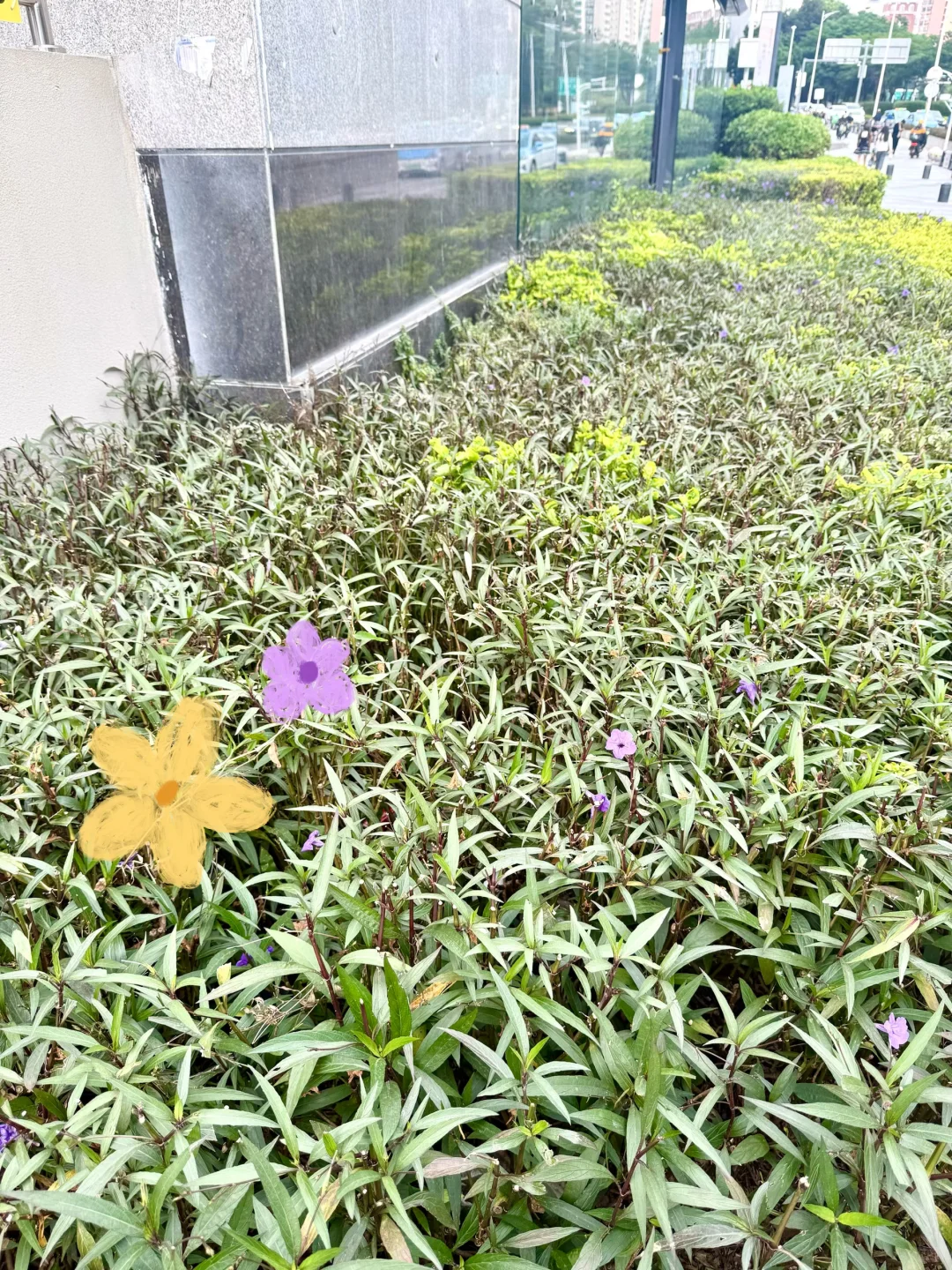 水贝自取