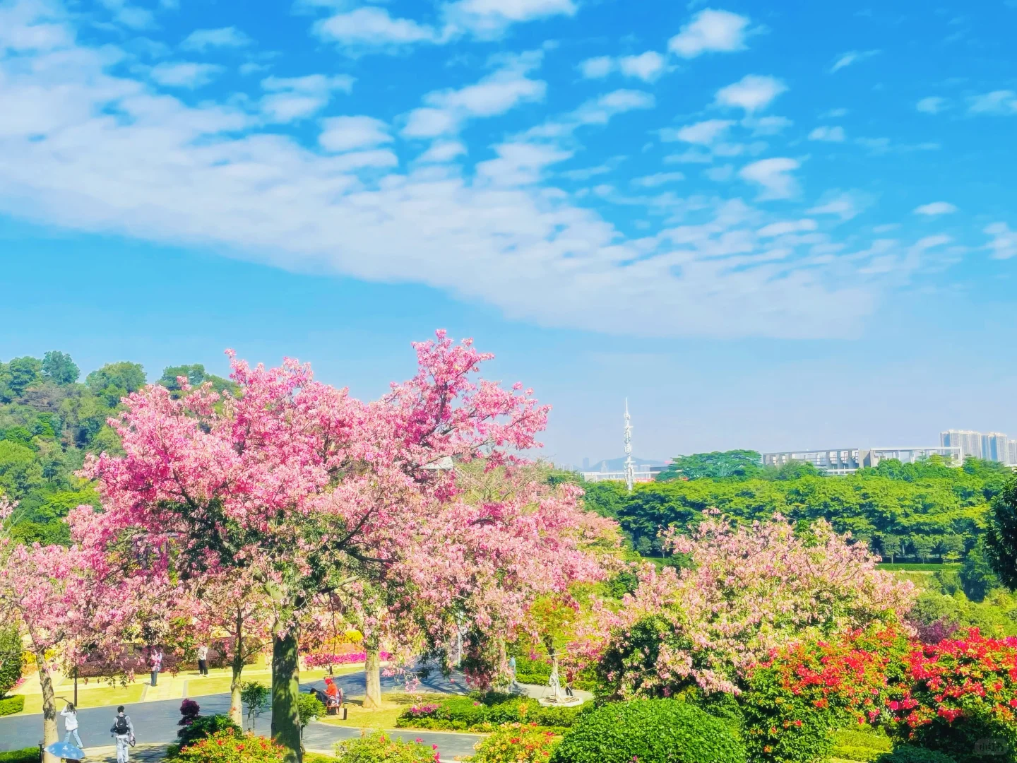 东莞植物园