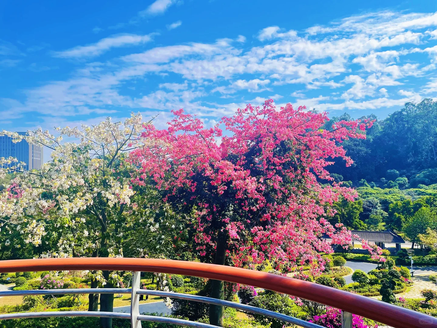 东莞植物园