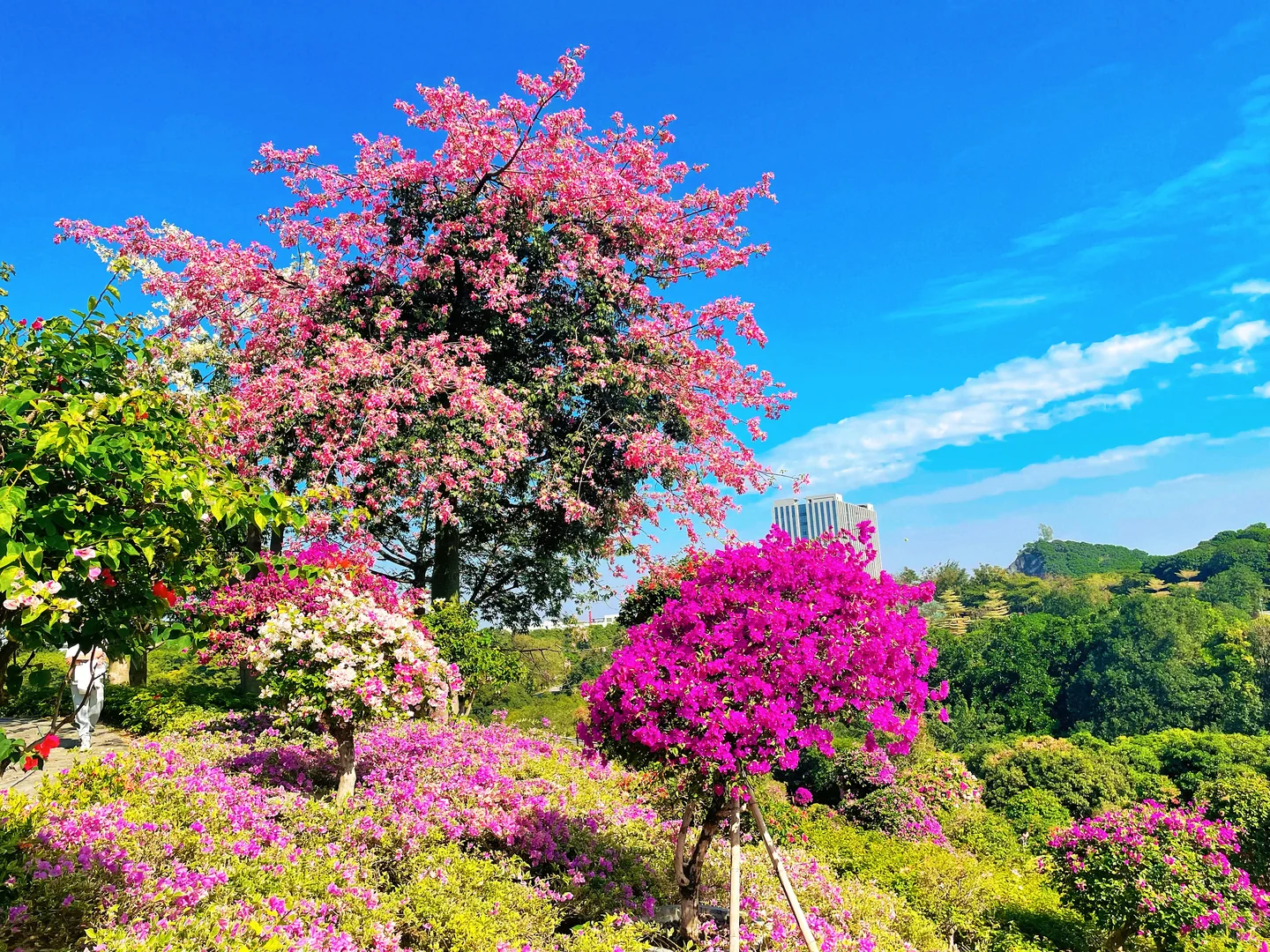 东莞植物园