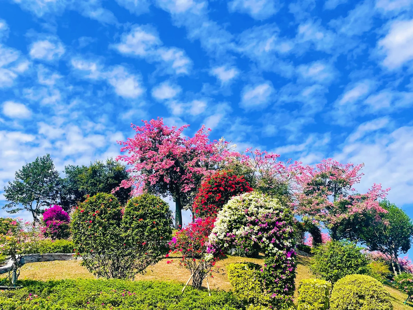 东莞植物园