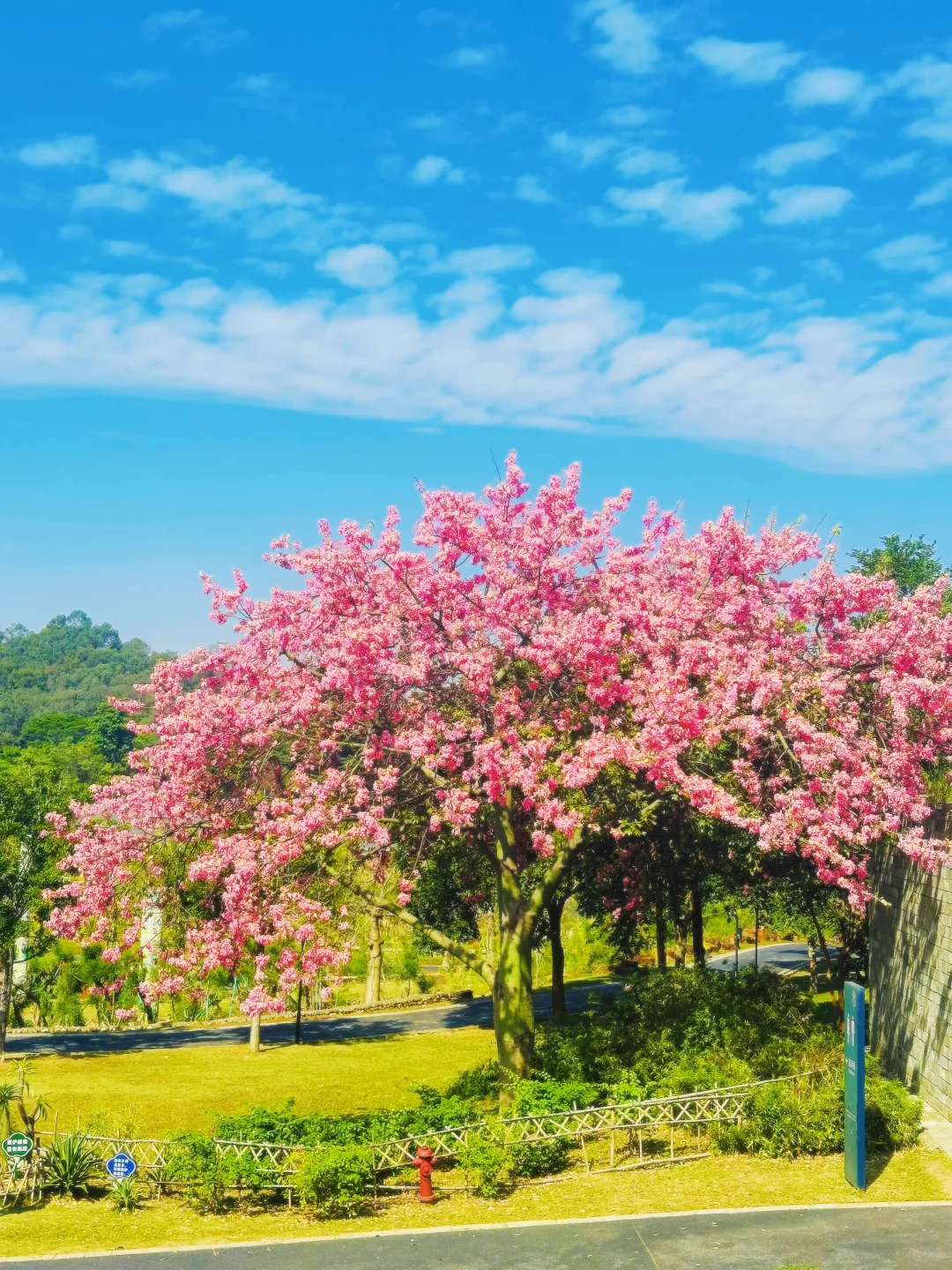 东莞植物园